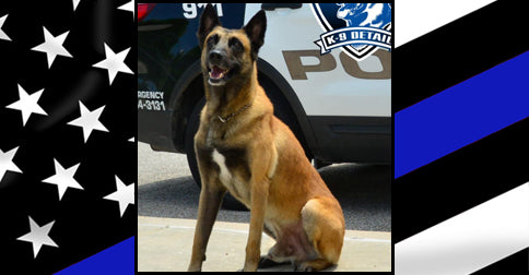 Remembering K9 Rony | Give Blue | $1,011.84