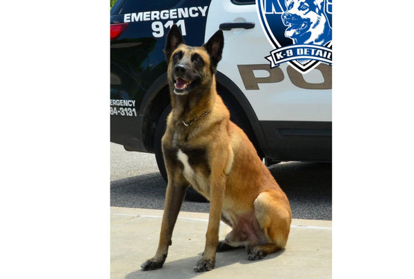 K9 Rony Fundraiser
